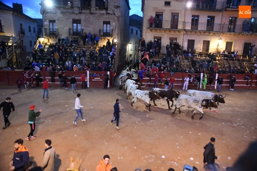 Foto 8 - Carrera correcta y limpia de los bueyes de Luis Cebri&aacute;n para aprenderse el recorrido