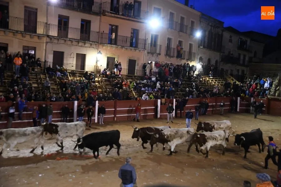 Foto 9 - Carrera correcta y limpia de los bueyes de Luis Cebri&aacute;n para aprenderse el recorrido