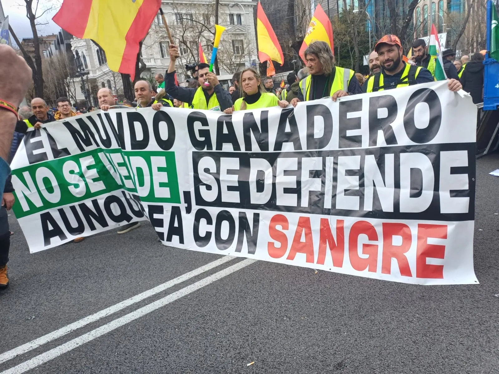 Foto 2 - Ganaderos de la comarca mirobrigense participan en la gran tractorada de Madrid