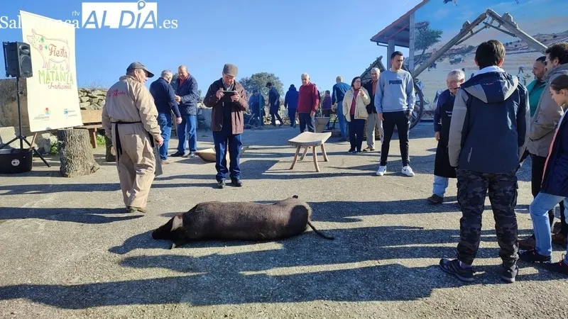 Celebración de la I Fiesta de la Matanza Tradicional en Guadramiro / CORRAL