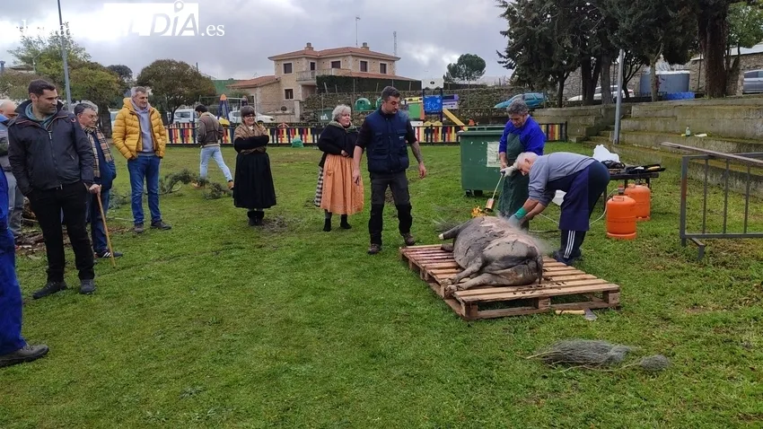 Fiesta de la Matanza Tradicional en Cipérez / CORRAL