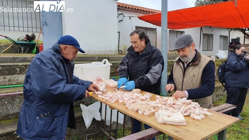 Fiesta de la Matanza Tradicional en Cipérez / CORRAL