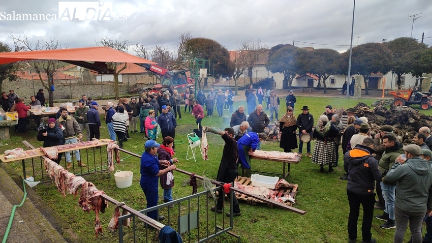 Fiesta de la Matanza Tradicional en Cipérez / CORRAL
