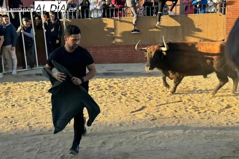 Las calles de Babilafuente se llenaban de aficionados durante el V Toro de San Blas