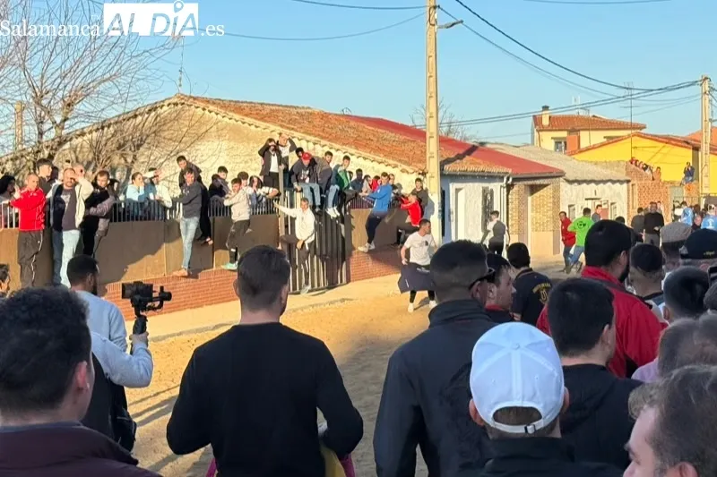 Las calles de Babilafuente se llenaban de aficionados durante el V Toro de San Blas