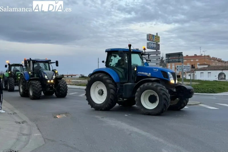 Agricultores de la comarca de Peñaranda participan este jueves en la gran tractorada de protesta