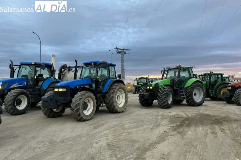 Agricultores de la comarca de Peñaranda participan este jueves en la gran tractorada de protesta