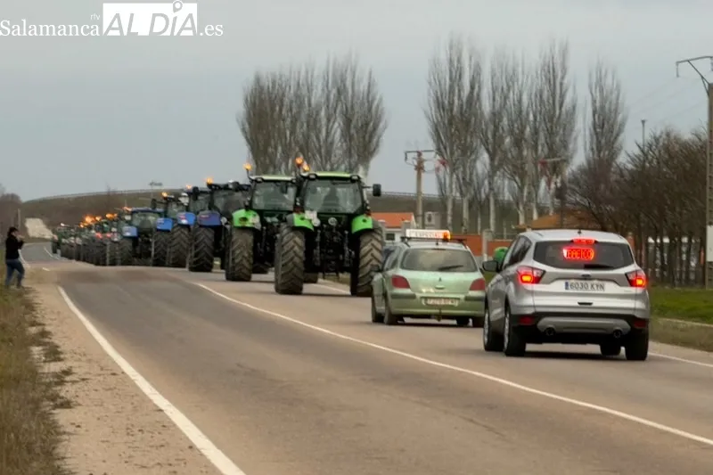 Agricultores de la comarca de Peñaranda participan este jueves en la gran tractorada de protesta