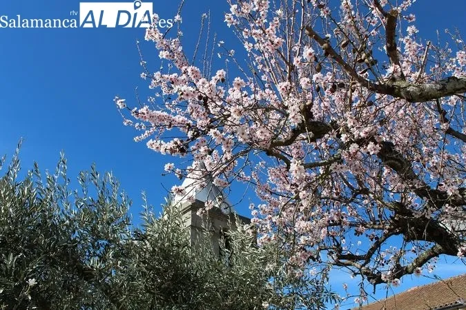 Febrero, el mes de las 
