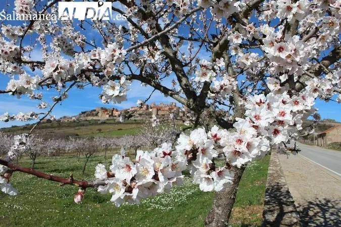 Febrero, el mes de las 