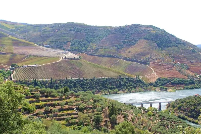 Conociendo el Vale do Tua (Portugal) | Fotos: MARTÍN-GARAY