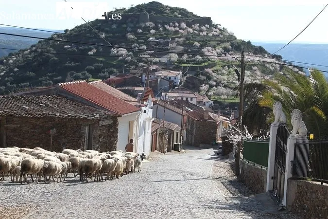 Febrero, el mes de las 