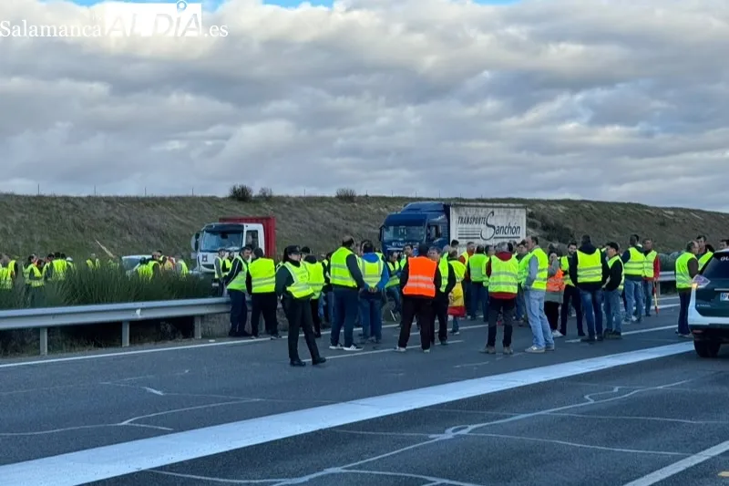 Los agricultores cortan de nuevo la A-50 en Peñaranda