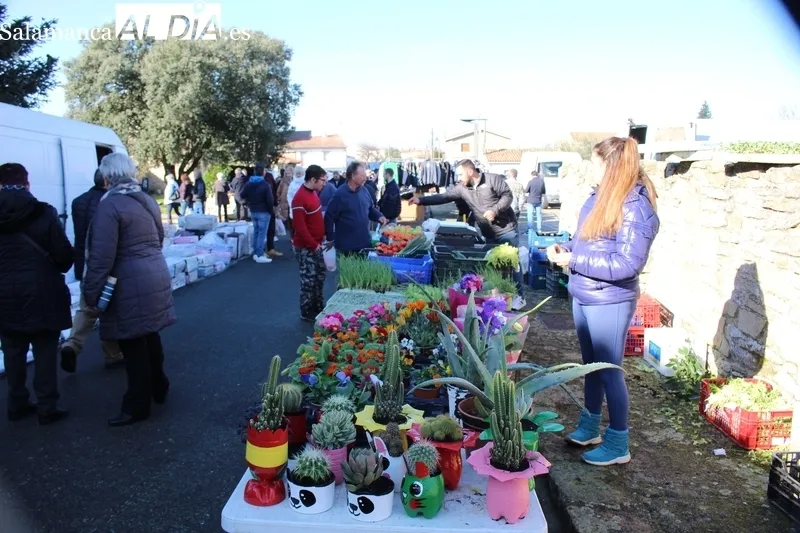 Desarrollo del mercadillo de Trabanca este domingo 4 de febrero / SILVESTRE 