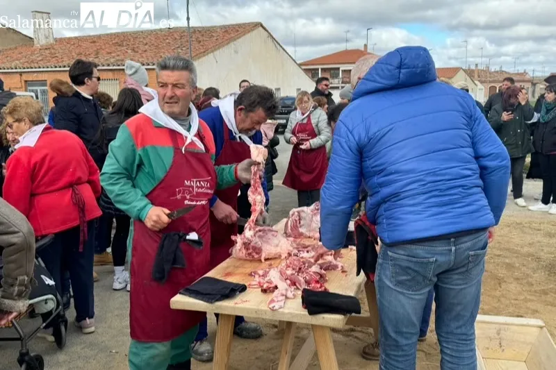 Bóveda celebra este sábado su primera Matanza Tradicional