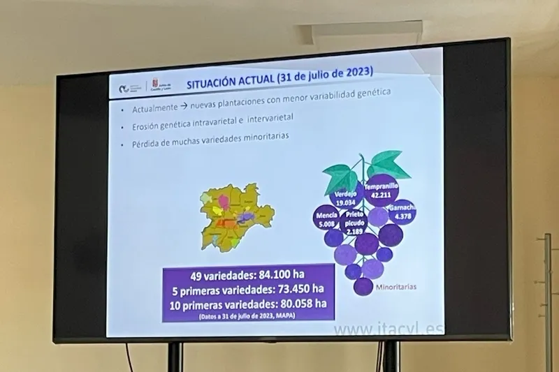 Jornada técnica sobre variedades minoritarias de vid celebrada en Villarino de los Aires