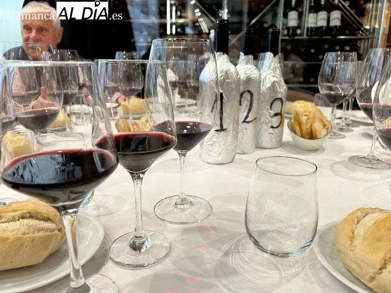 Imágenes de la cata de Bruneo 2019 por la Asociación Cata Añsds en el Restaurante Hispania 20 / FOTOS: JAVIER BRAGADO