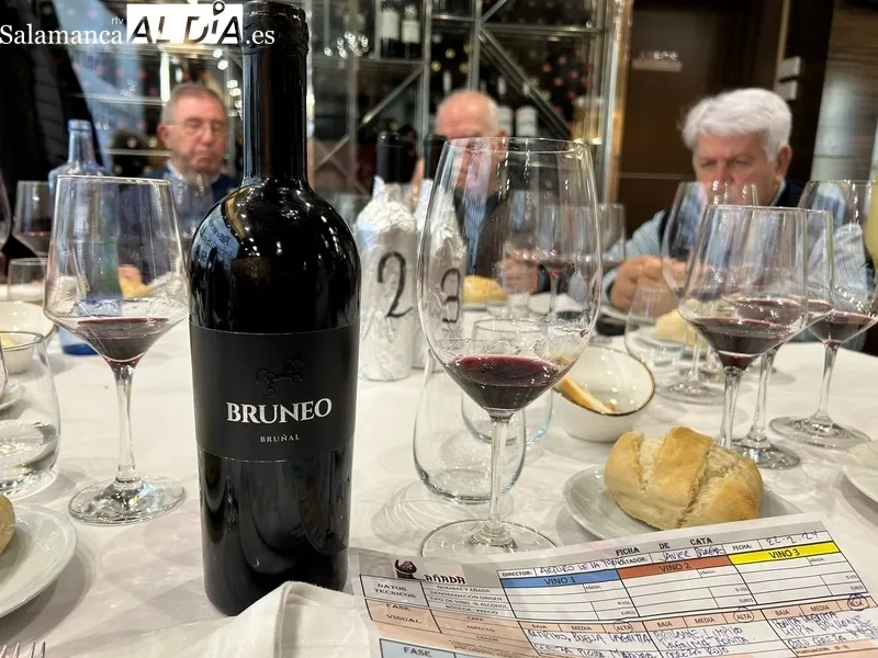 Imágenes de la cata de Bruneo 2019 por la Asociación Cata Añsds en el Restaurante Hispania 20 / FOTOS: JAVIER BRAGADO