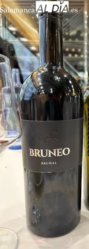 Imágenes de la cata de Bruneo 2019 por la Asociación Cata Añsds en el Restaurante Hispania 20 / FOTOS: JAVIER BRAGADO