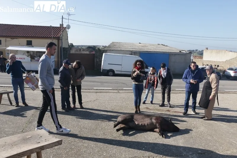 Celebración de la I Fiesta de la Matanza Tradicional en Guadramiro / CORRAL