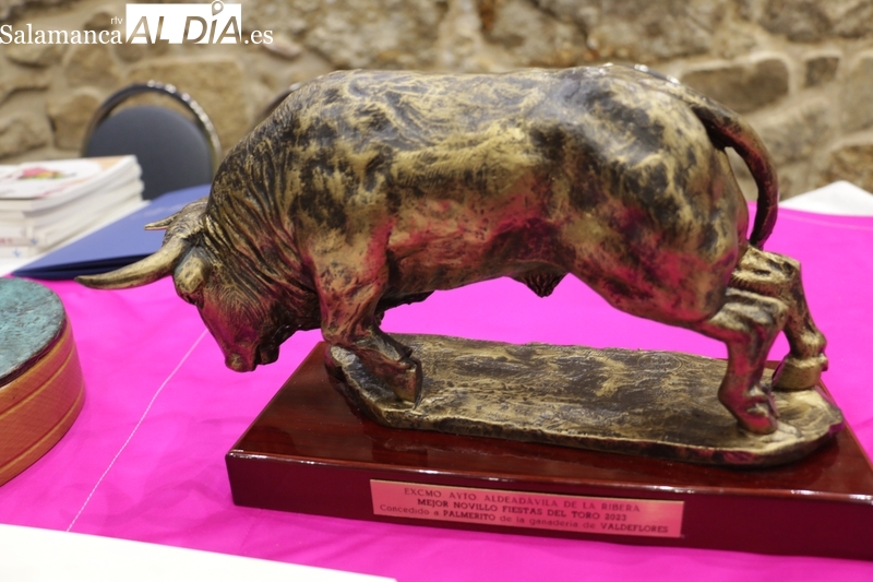 Entrega de los XXV Premios Fiestas del Toro de Aldeadávila de la Ribera / CORRAL
