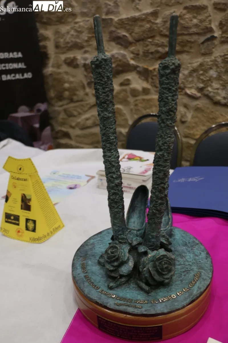 Entrega de los XXV Premios Fiestas del Toro de Aldeadávila de la Ribera / CORRAL