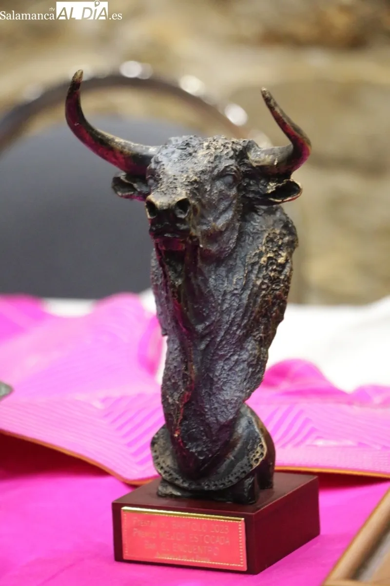 Entrega de los XXV Premios Fiestas del Toro de Aldeadávila de la Ribera / CORRAL