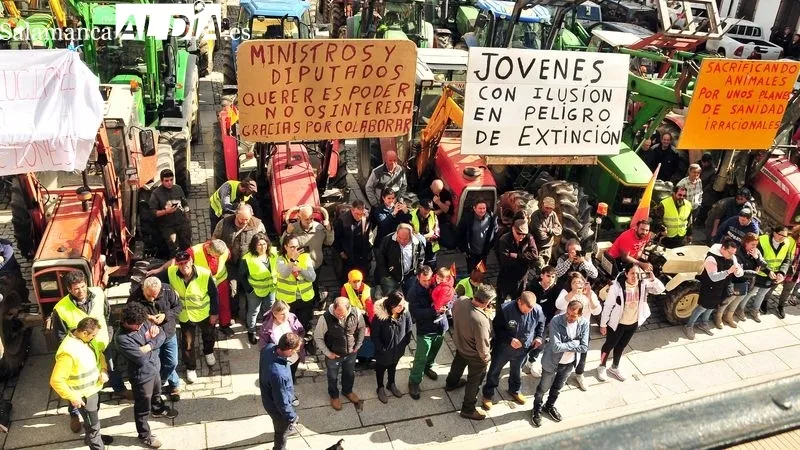 Foto 6 - Los ganaderos y agricultores del Abadengo se unen en una larga tractorada en Lumbrales