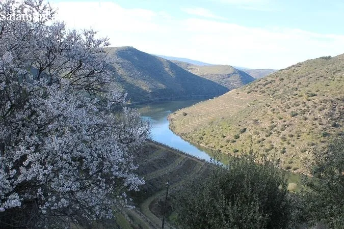 Febrero, el mes de las 