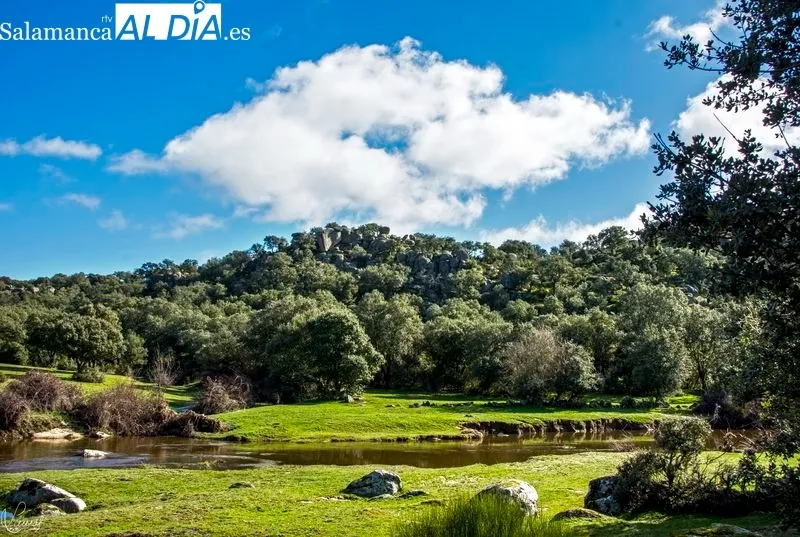 Puente Mocho y alrededores. Foto de Manuel Lamas