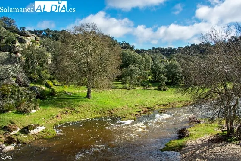 Puente Mocho y alrededores. Foto de Manuel Lamas