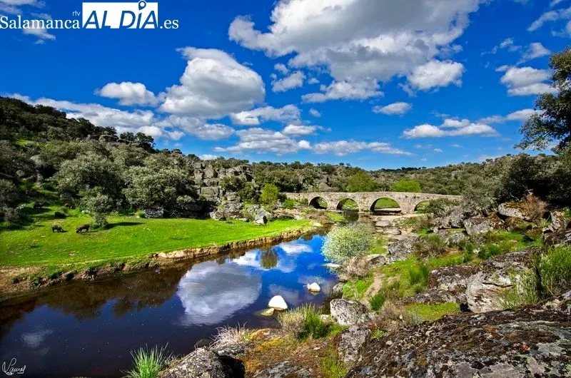 Puente Mocho y alrededores. Foto de Manuel Lamas