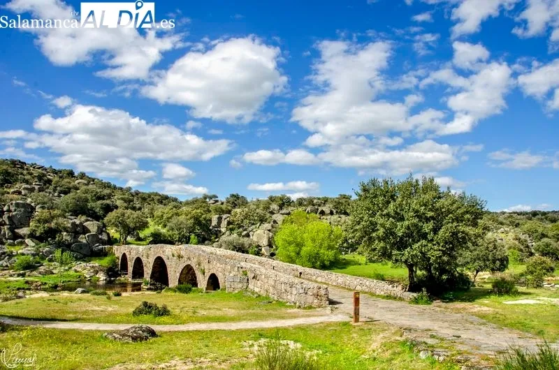 Puente Mocho y alrededores. Foto de Manuel Lamas