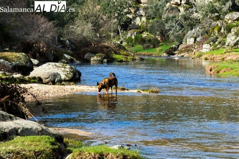 Puente Mocho y alrededores. Foto de Manuel Lamas