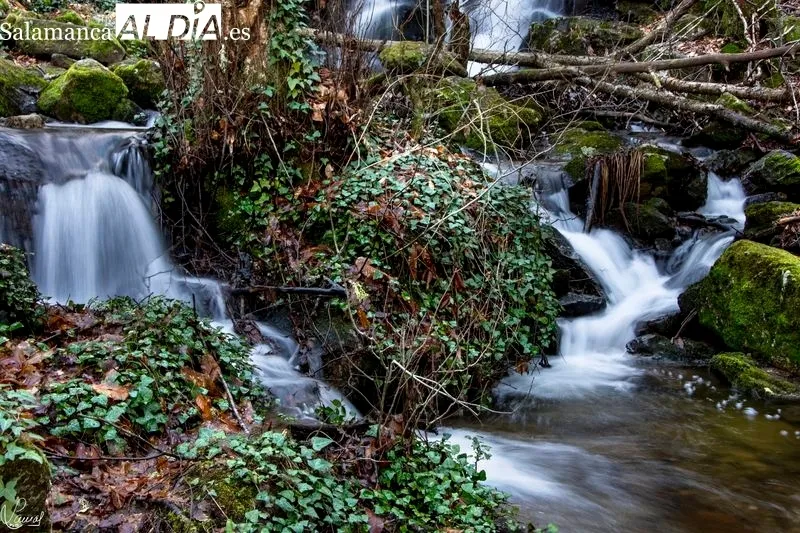 Ruta a la Mangá en Candelario (Salamanca). Foto de Manuel Lamas