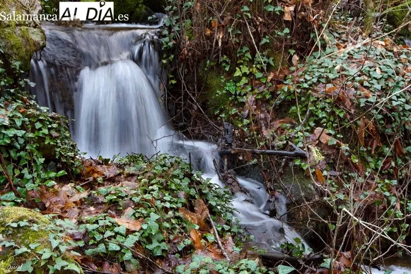 Ruta a la Mangá en Candelario (Salamanca). Foto de Manuel Lamas