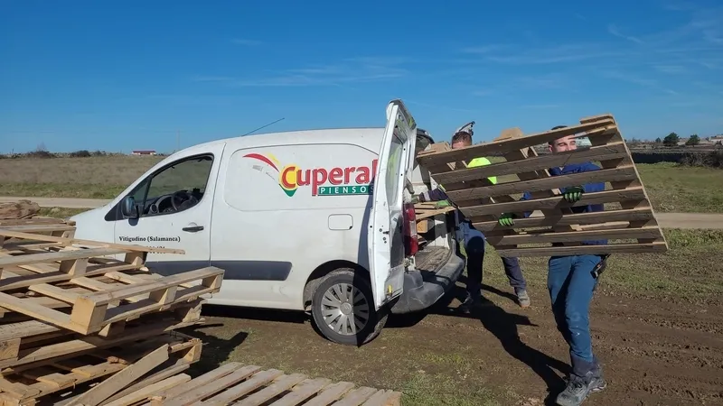 Tras la llamada desde el Ayuntamiento a través de las redes sociales, Varias empresas y particulares han colaborado aportando madera para hacer la hoguera de esta madrugada