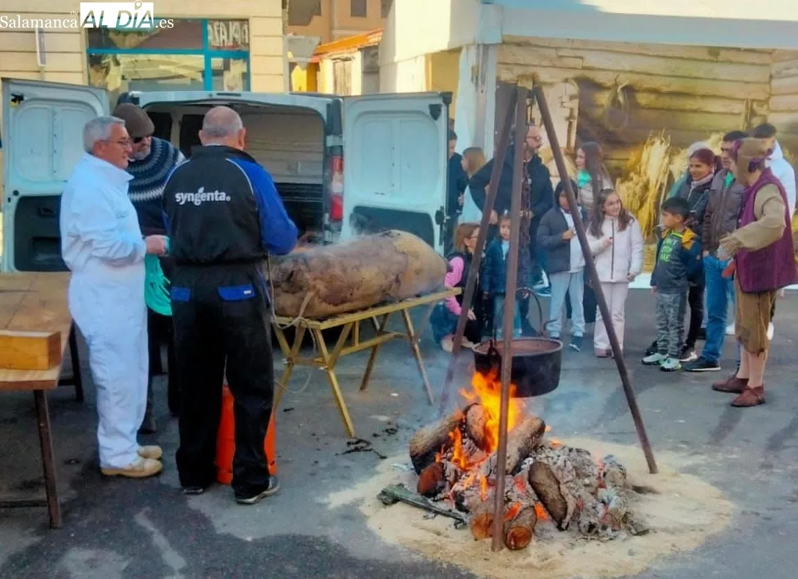 Castellanos de Moriscos celebra la Matanza Tradicional | FOTOS: Sofía Merino 