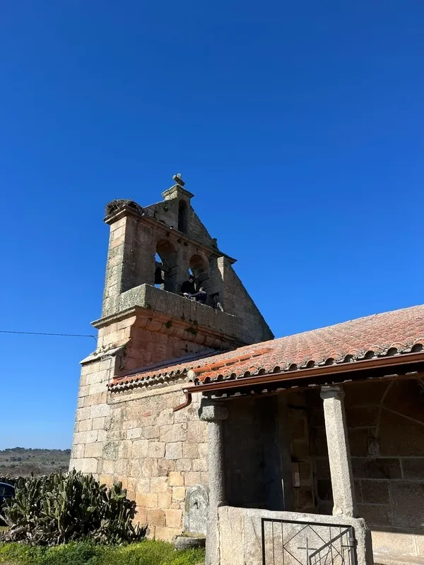 Fiesta de San Blas en Gejo de los Reyes