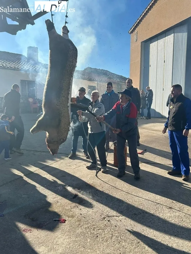 En Gejo de los Reyes viven una Matanza Tradicional de lo más completa