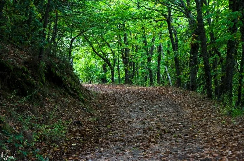 Ruta de los Canchales Serranos. Fotos: Ayuntamiento de San Esteban de la Sierra. 