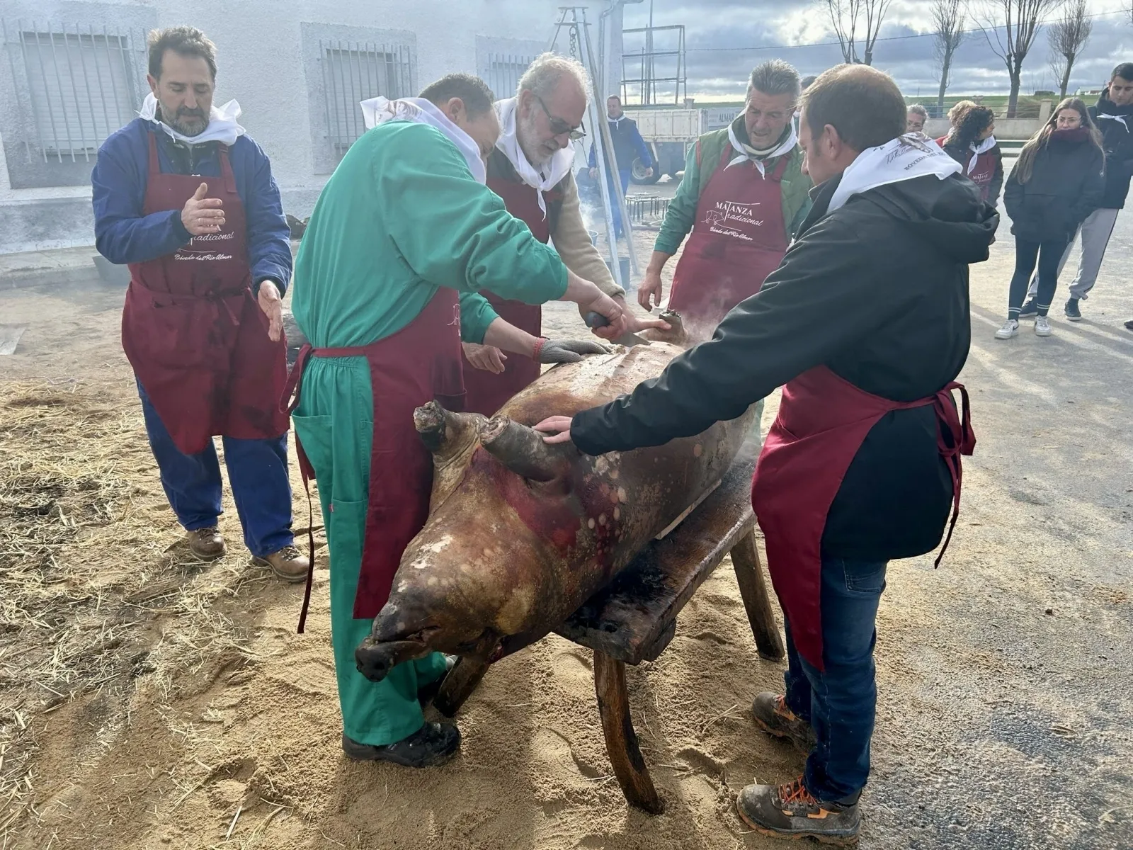 Foto 3 - B&oacute;veda del Rio Almar se vuelca en su primera Matanza Tradicional