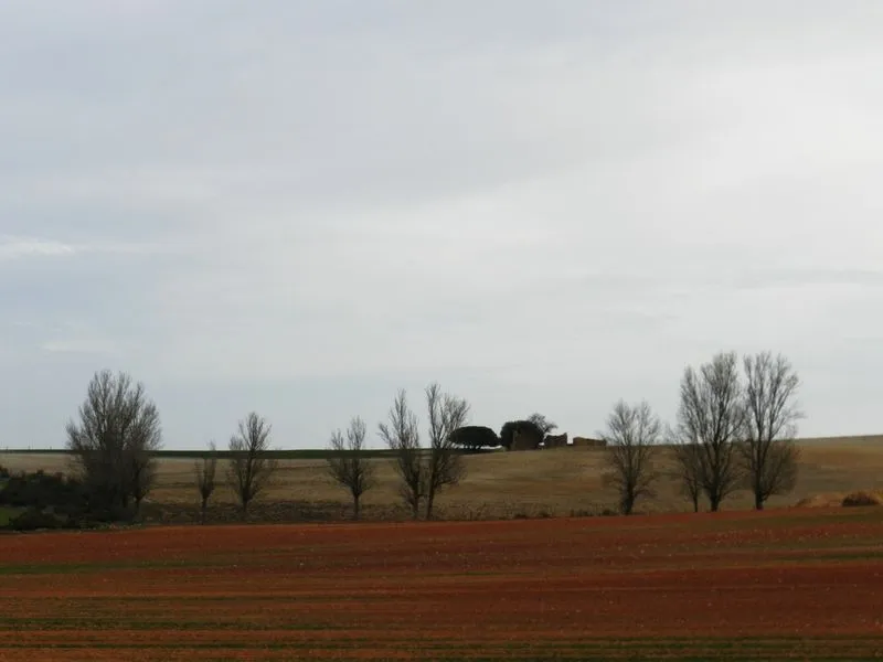 Tramo de Alba de Tormes a Carbajosa de la Sagrada. Fotos: Asociación Vía Férrea de la Plata (VIFEPLA) 