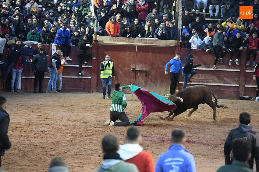 Foto 11 - El coso se llena de capas en la tarde dominical gracias al buen juego de los toros