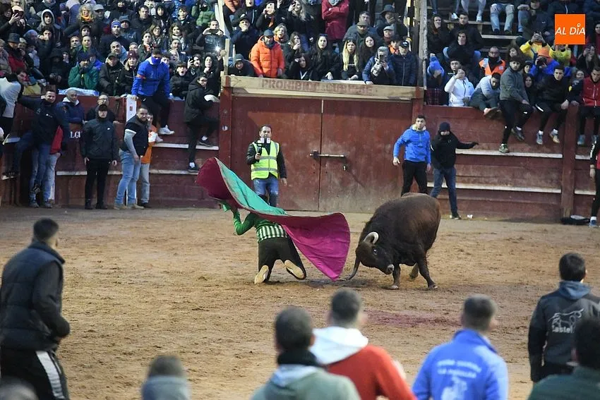 Foto 9 - El coso se llena de capas en la tarde dominical gracias al buen juego de los toros