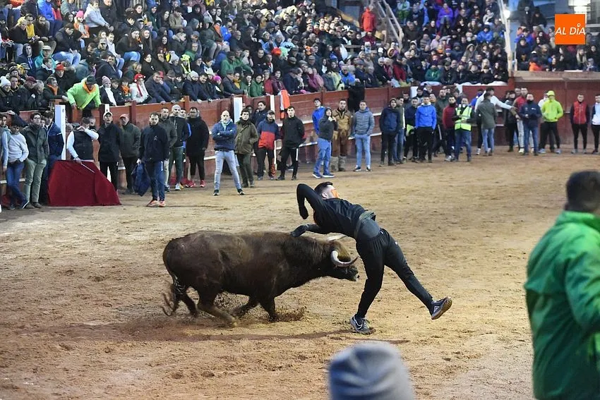 Foto 6 - El coso se llena de capas en la tarde dominical gracias al buen juego de los toros
