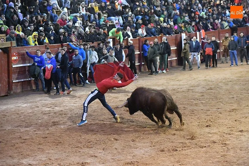 Foto 4 - El coso se llena de capas en la tarde dominical gracias al buen juego de los toros