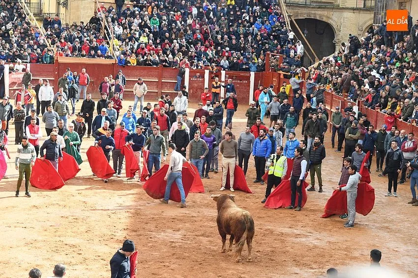 Foto 9 - Los astados de Orive brindan much&iacute;simo juego en una capea &lsquo;por eliminaci&oacute;n&rsquo; y con algo de bronca