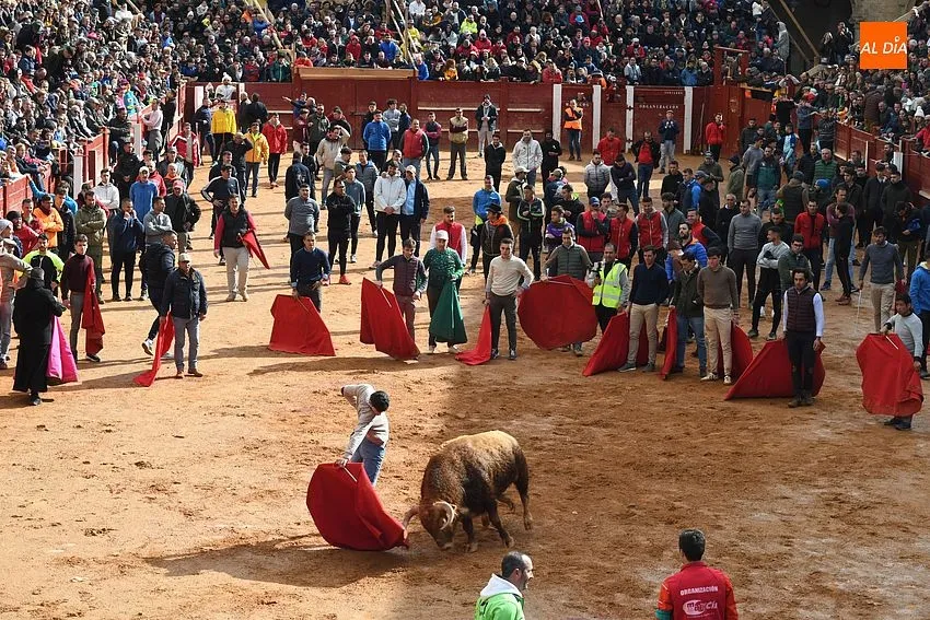 Foto 7 - Los astados de Orive brindan much&iacute;simo juego en una capea &lsquo;por eliminaci&oacute;n&rsquo; y con algo de bronca