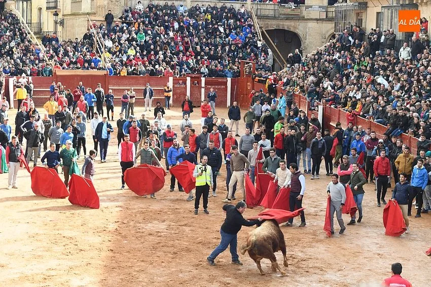 Foto 5 - Los astados de Orive brindan much&iacute;simo juego en una capea &lsquo;por eliminaci&oacute;n&rsquo; y con algo de bronca
